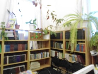 Новомичанская сельская библиотека - филиал № 18