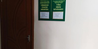Тойкинская сельская библиотека - филиал № 5