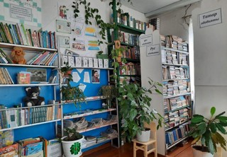 Челнинская сельская библиотека - филиал № 13