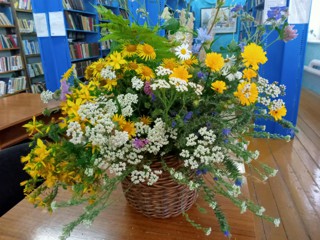 Старо-Михайловская сельская библиотека - филиал № 47