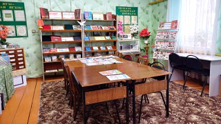 Больше-Верезинская сельская библиотека - филиал № 8