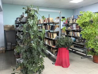 Ямбухтинская сельская библиотека - филиал № 28