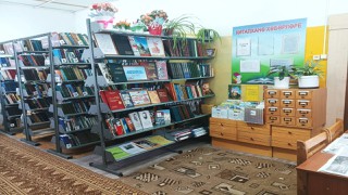 Чиканасская сельская библиотека - филиал № 50