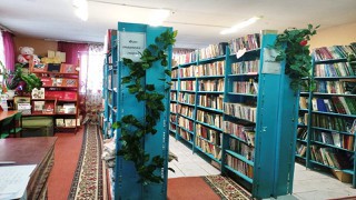 Шушмабашская сельская библиотека - филиал № 55